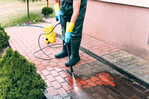 Best Driveway Pressure Washing  in Fayetteville, TN